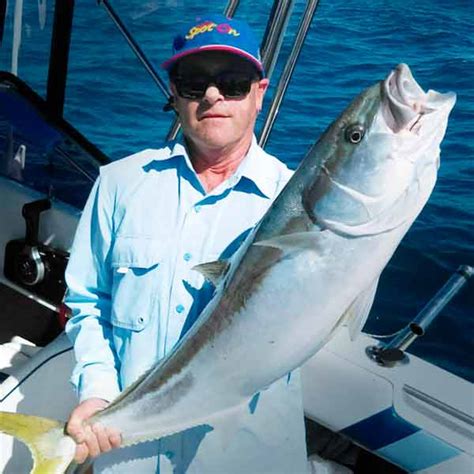 Fishingonlineau .